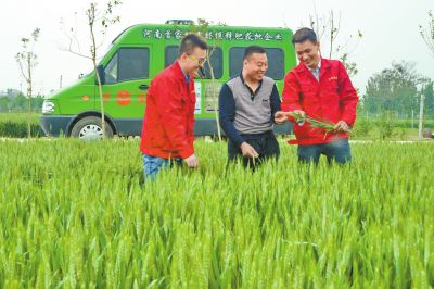万庄化肥定制化生产让经销商扮演新角色